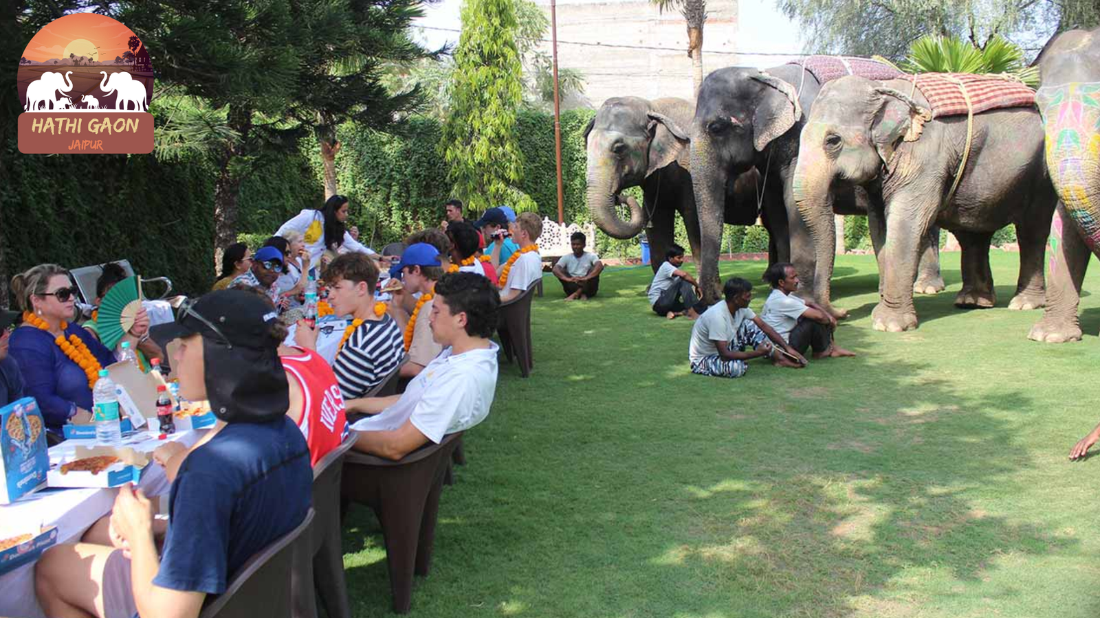 Elephant Behavior 101: Understanding Their Social Structure & Communication at Hathi Gaon