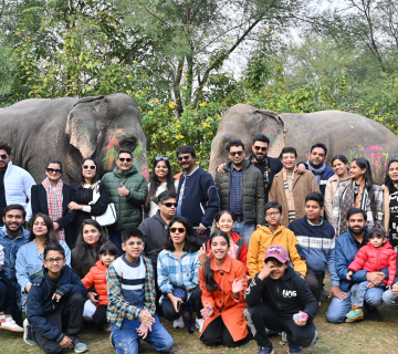 Behind the Scenes of Elephant Habitat Maintenance at Hathigaon