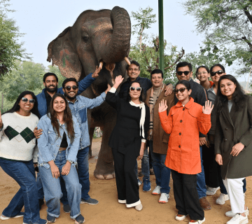 The Role of Local Communities in Supporting Ethical Elephant Tourism