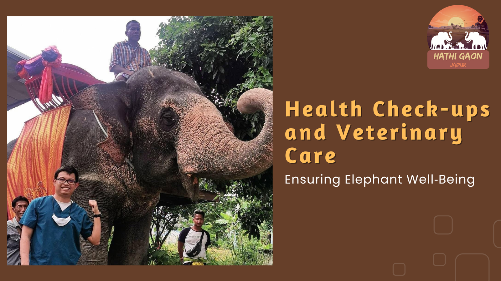 Health Check-ups and Veterinary Care: Ensuring Elephant Well Being