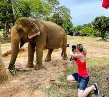 How to Photograph Elephants Ethically: Tips for Responsible Travelers