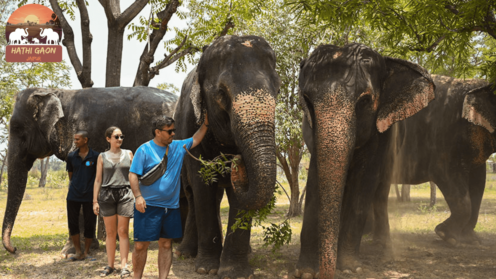 Responsible Tourism: Dos and Don’ts When Visiting Hathi Gaon