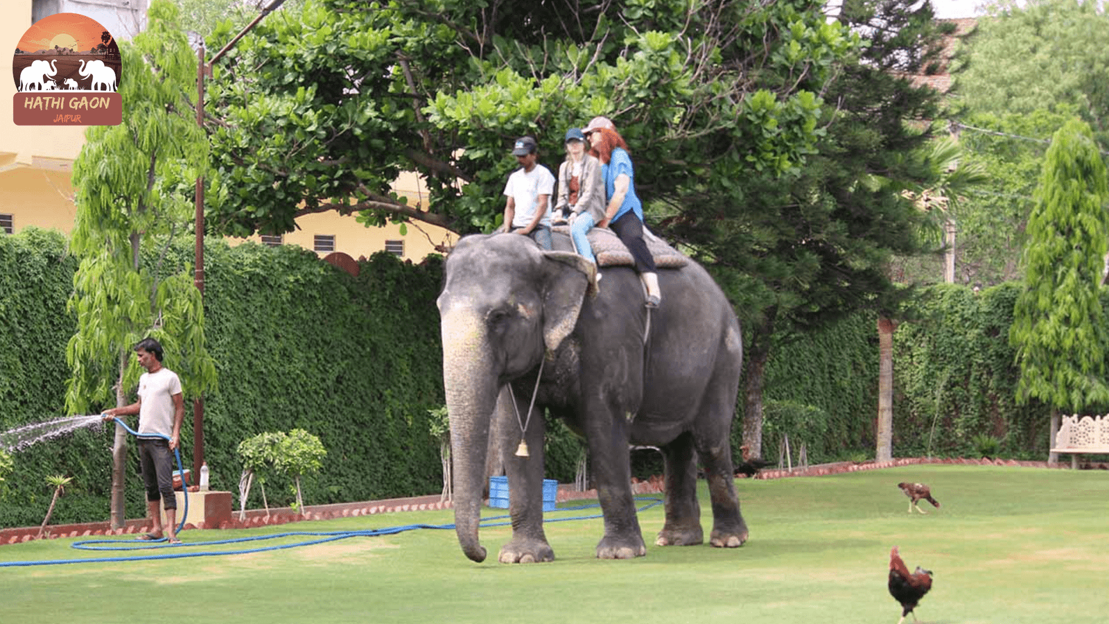 Filming & Pre-Wedding Shoots at Hathi Gaon: Permits, Costs & Ethical Guidelines