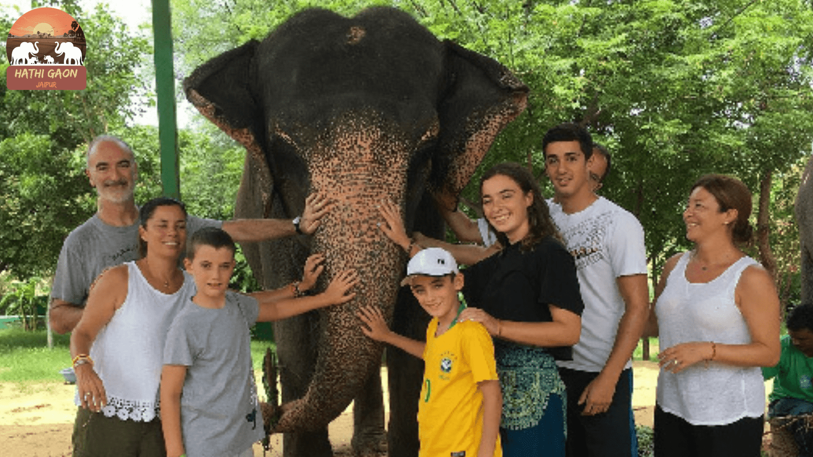 Beyond the Mahout’s Day (2025)