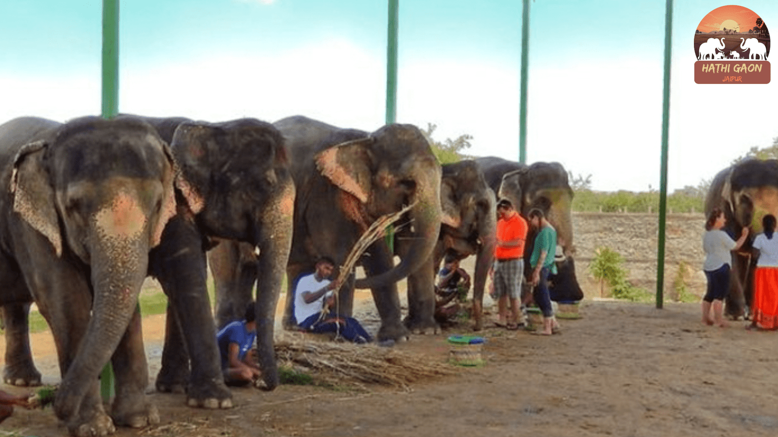 Hathi Gaon Photography Guide: Golden-Hour Spots, Lenses, Angles & Etiquette (2025)