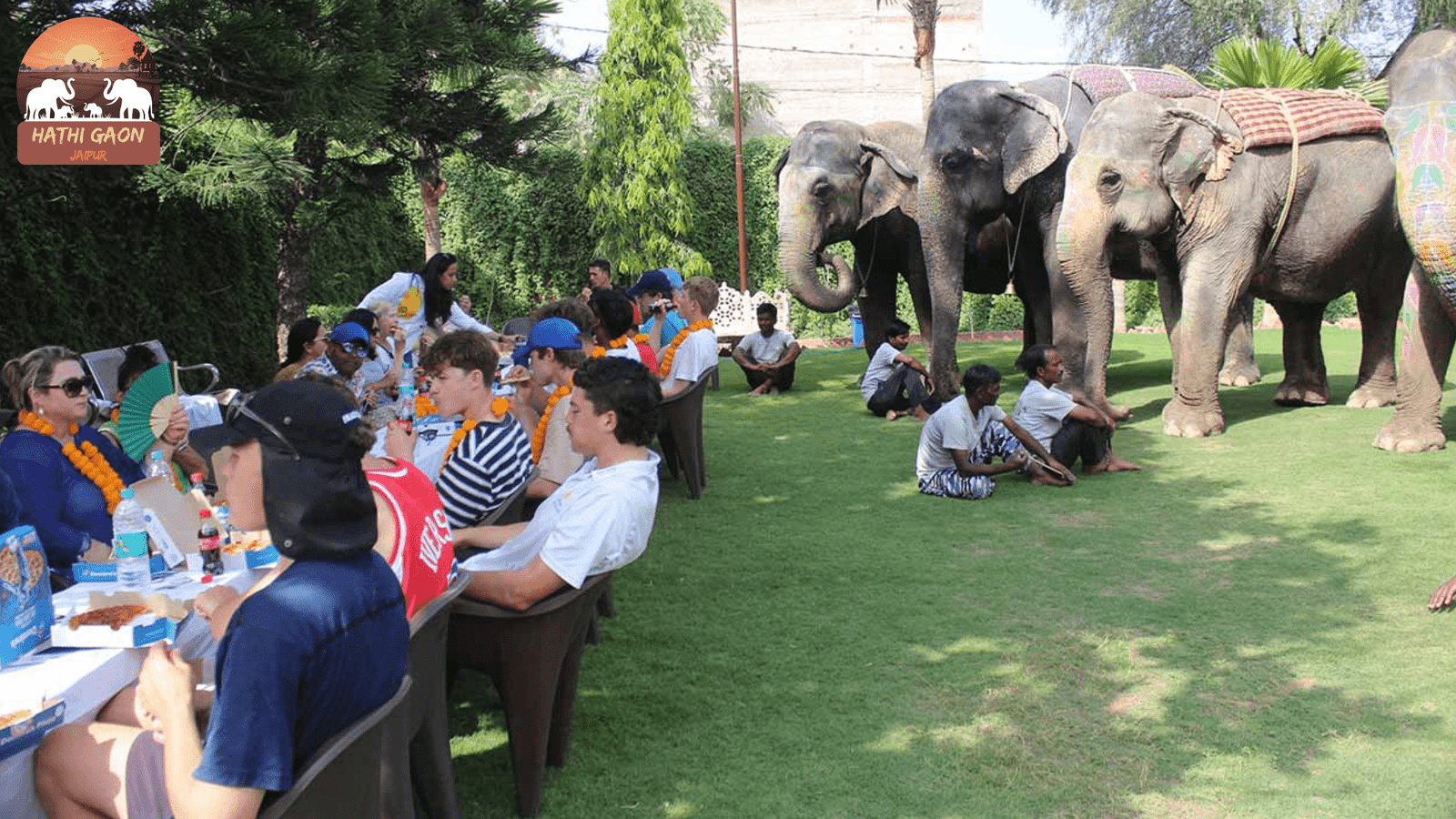 How to Reach Hathi Gaon (Elephant Village), Jaipur