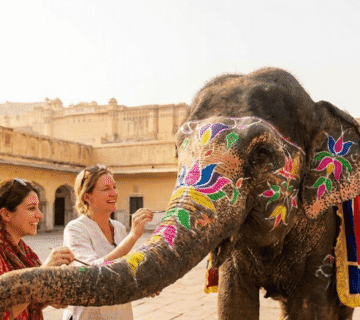 Painting with Giants: Why Organic Elephant Painting is the Most Colorful Activity in Jaipur