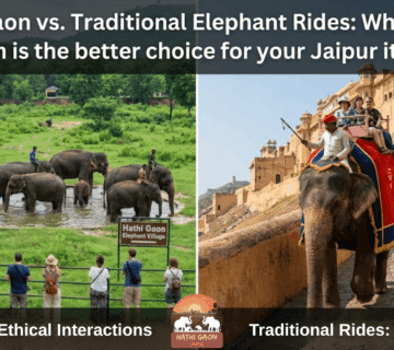 Hathi Gaon vs. Traditional Elephant Rides: Why Ethical Tourism is the Better Choice for Your Jaipur Itinerary