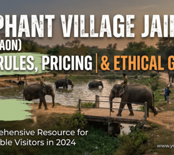 Hathigaon Jaipur: Entry Fee, Timings & Practical Tips (2026 Guide)