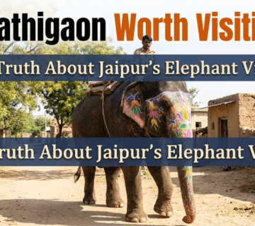 Is Hathigaon Worth Visiting? The Truth About Jaipur's Elephant Village