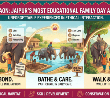 Why Hathigaon is the Most Educational Family Day Activity in Jaipur