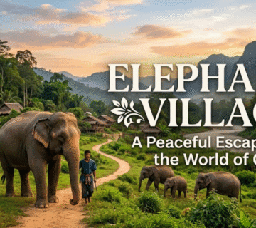 Ultimate Guide to Hathigaon Jaipur: Visit Elephant Village Independently