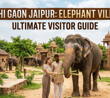 Hathi Gaon Jaipur: Elephant Village Ultimate Visitor Guide
